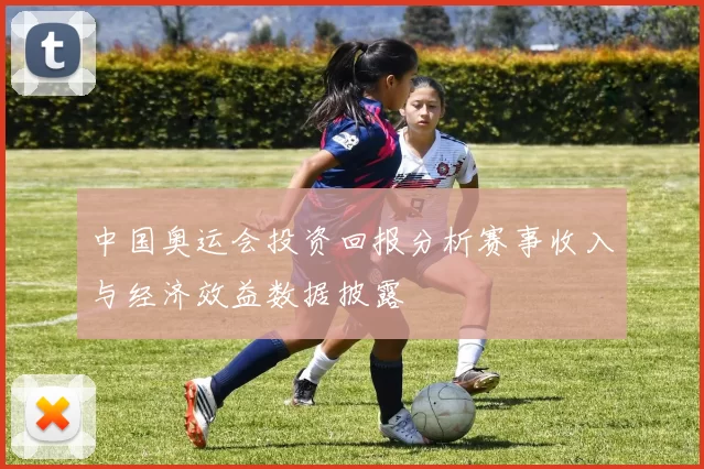 中国奥运会投资回报分析赛事收入与经济效益数据披露