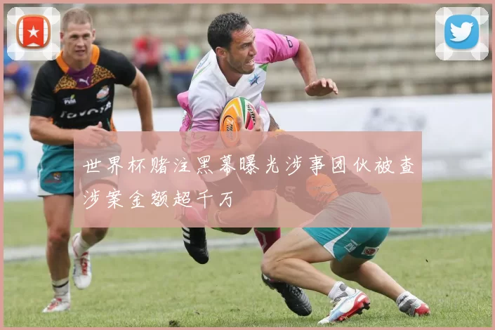 世界杯赌注黑幕曝光涉事团伙被查涉案金额超千万