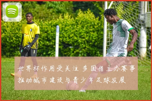 世界杯作用受关注 多国借主办赛事推动城市建设与青少年足球发展