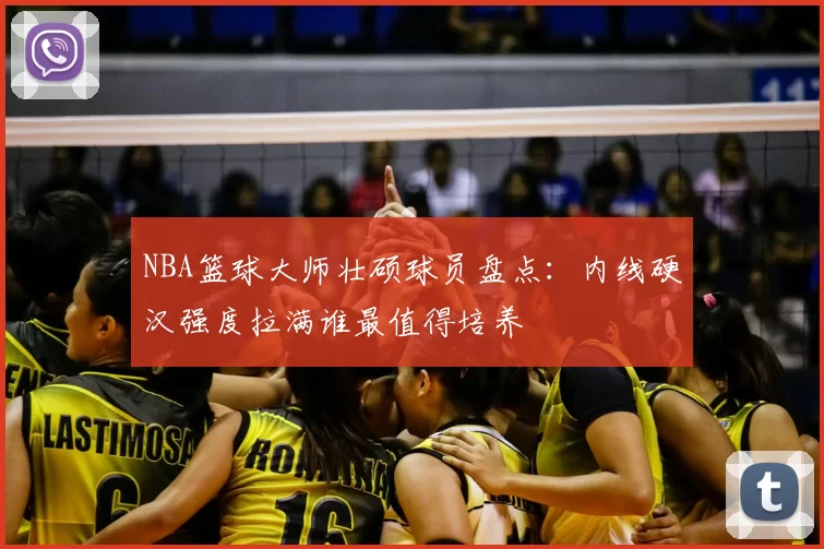 NBA篮球大师壮硕球员盘点：内线硬汉强度拉满谁最值得培养