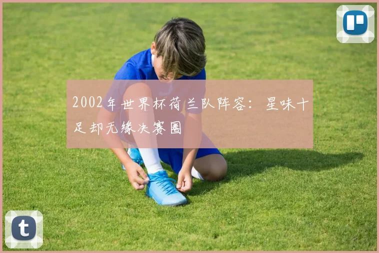 2002年世界杯荷兰队阵容：星味十足却无缘决赛圈