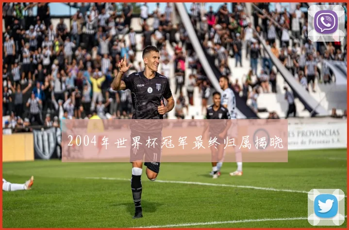 2004年世界杯冠军最终归属揭晓