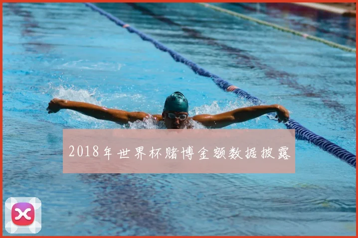 2018年世界杯赌博金额数据披露