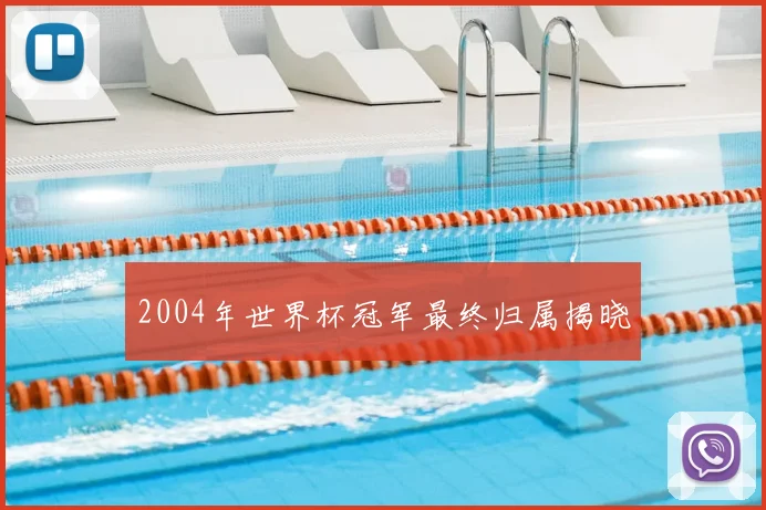 2004年世界杯冠军最终归属揭晓