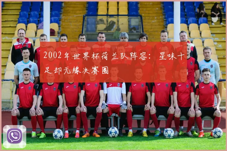 2002年世界杯荷兰队阵容:星味十足却无缘决赛圈