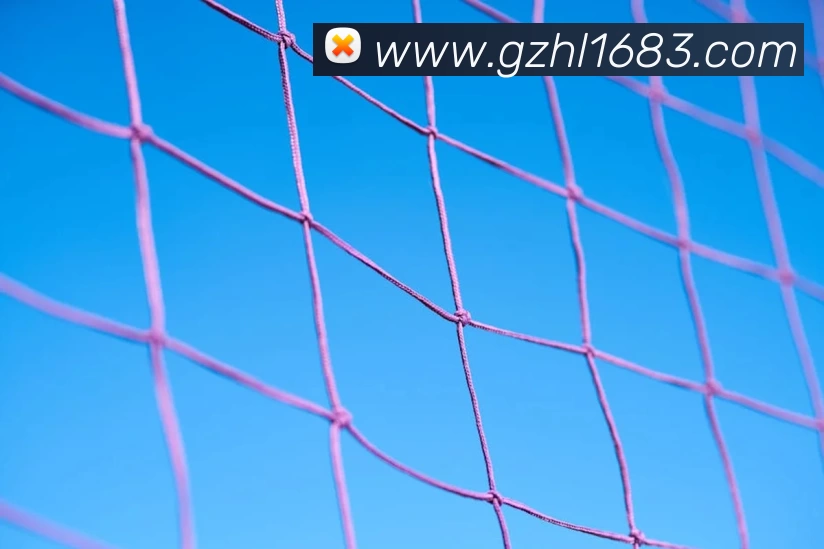 星空网最新地址发展历程